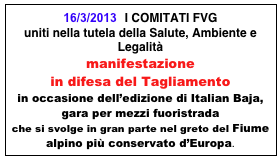 16/3/2013  I COMITATI FVG  
uniti nella tutela della Salute, Ambiente e Legalità
manifestazione  in difesa del Tagliamento
in occasione dell’edizione di Italian Baja, gara per mezzi fuoristrada
che si svolge in gran parte nel greto del Fiume alpino più conservato d’Europa.